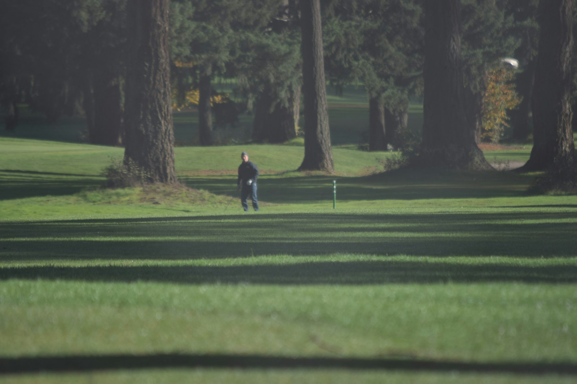 Exploring the World of Golf: Techniques, Tips, and Traditions